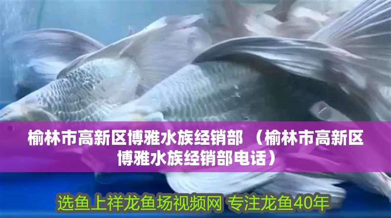 榆林市高新區博雅水族經銷部 （榆林市高新區博雅水族經銷部電話）