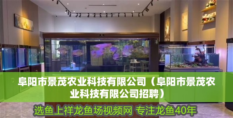 阜陽市景茂農業科技有限公司（阜陽市景茂農業科技有限公司招聘）