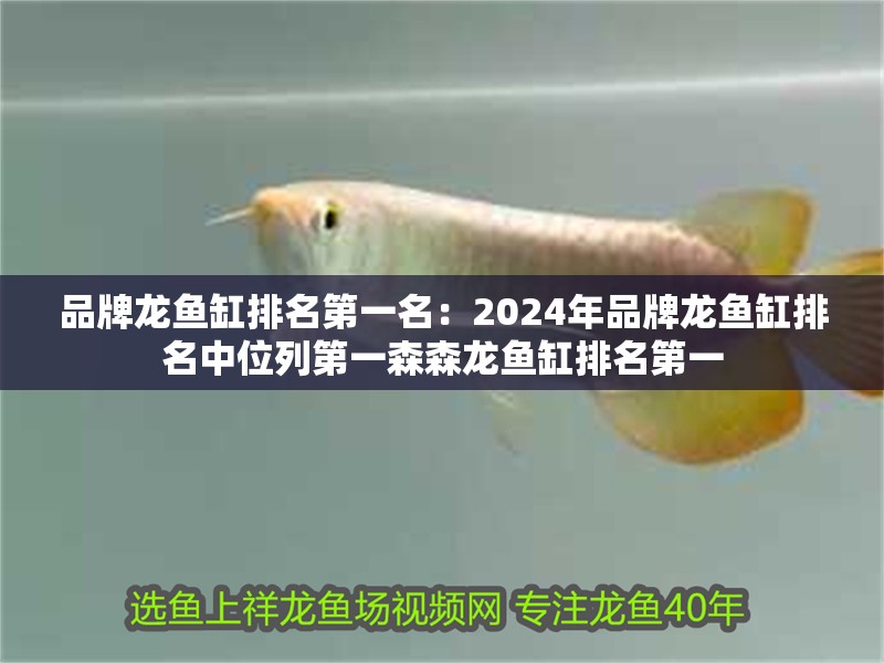 品牌龍魚缸排名第一名：2024年品牌龍魚缸排名中位列第一森森龍魚缸排名第一