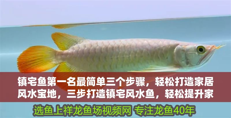 鎮宅魚第一名最簡單三個步驟，輕松打造家居風水寶地，三步打造鎮宅風水魚，輕松提升家居好運！