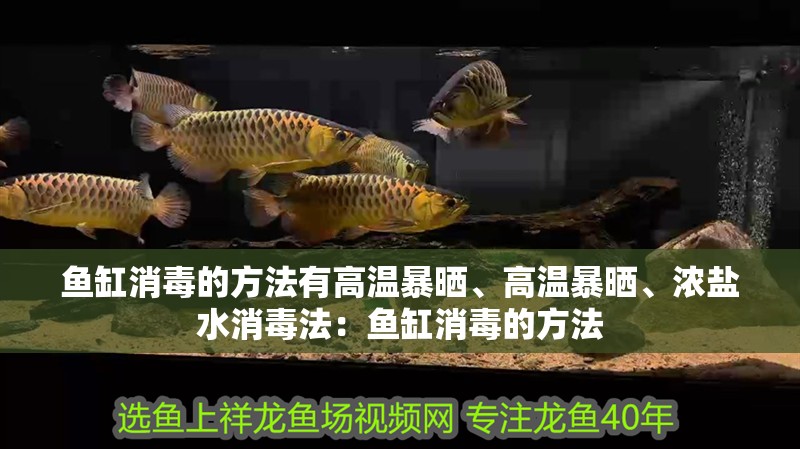 魚缸用增氧泵價格是多少:魚缸增氧機-xtrac增氧機-xtrac增氧機 魚缸消毒的方法有高溫暴曬、高溫暴曬、濃鹽水消毒法:魚缸消毒的方法 魚缸百科 魚缸消毒的方法有高溫暴曬、高溫暴曬、濃鹽水消毒法:魚缸消毒的方法 魚缸消毒的方法有高溫暴曬、高溫暴曬、濃鹽水消毒法:魚缸消毒的方法 魚缸百科