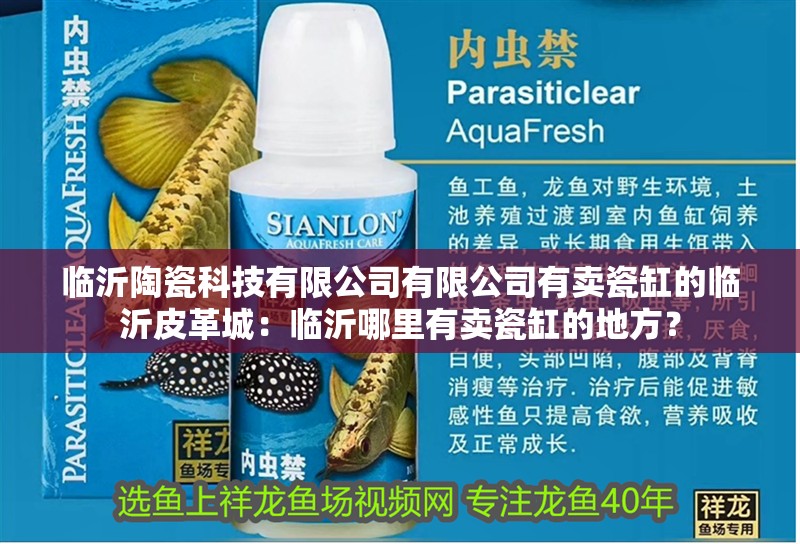 臨沂陶瓷科技有限公司有限公司有賣瓷缸的臨沂皮革城：臨沂哪里有賣瓷缸的地方？