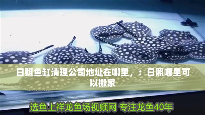 日照魚缸清理公司地址在哪里，：日照哪里可以搬家