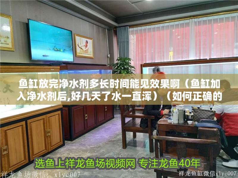 魚缸放完凈水劑多長時間能見效果啊（魚缸加入凈水劑后,好幾天了水一直渾）（如何正確的使用凈水劑）