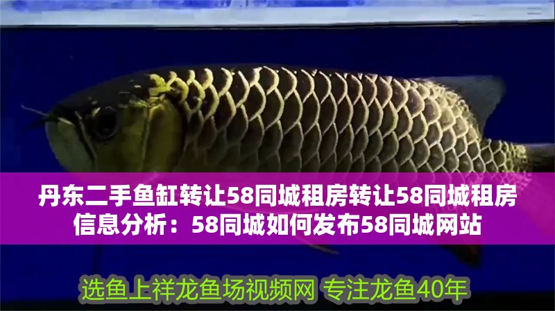 丹東二手魚缸轉讓58同城租房轉讓58同城租房信息分析：58同城如何發布58同城網站
