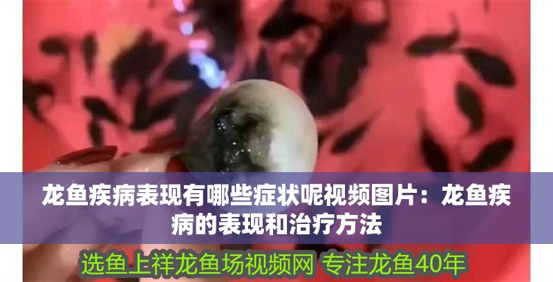 龍魚疾病表現有哪些癥狀呢視頻圖片：龍魚疾病的表現和治療方法