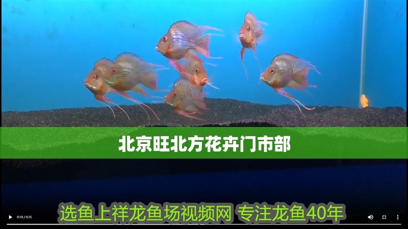 北京旺北方花卉門市部