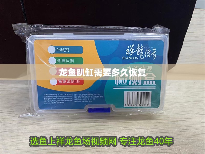 龍魚(yú)趴缸需要多久恢復(fù)