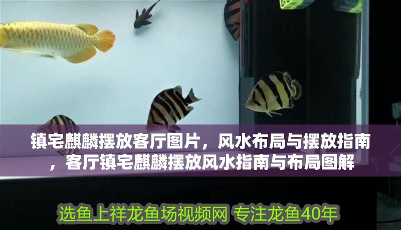 鎮宅麒麟擺放客廳圖片，風水布局與擺放指南，客廳鎮宅麒麟擺放風水指南與布局圖解