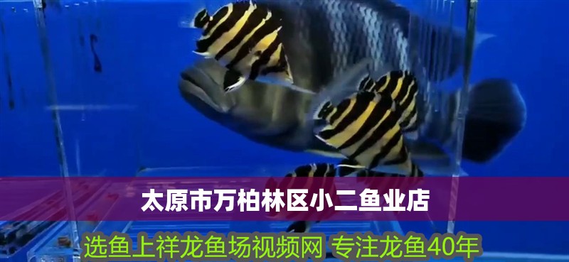 太原市萬柏林區小二魚業店