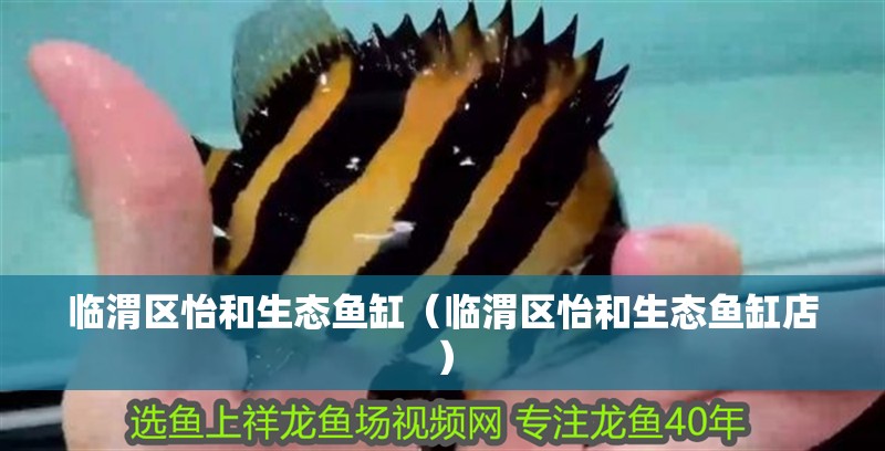 臨渭區怡和生態魚缸（臨渭區怡和生態魚缸店）