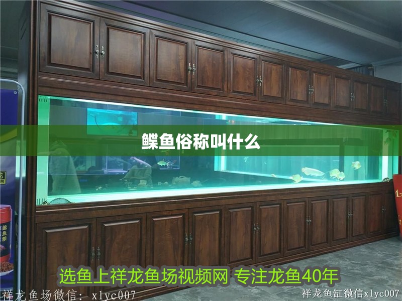 鰈魚俗稱叫什么