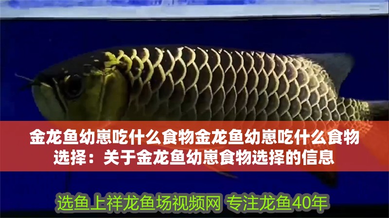 金龍魚幼崽吃什么食物金龍魚幼崽吃什么食物選擇：關于金龍魚幼崽食物選擇的信息