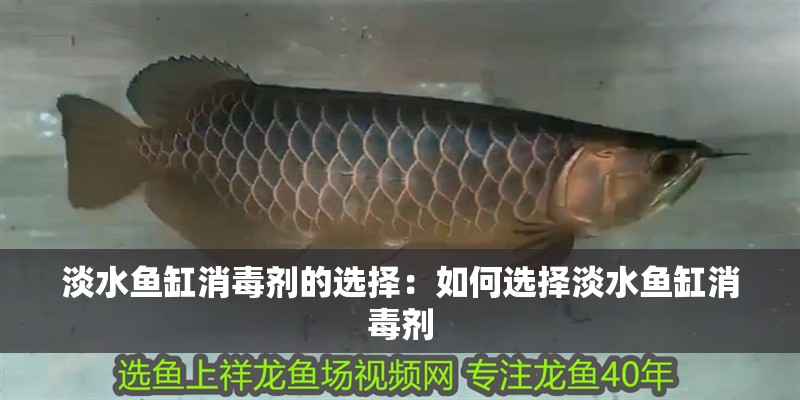 淡水魚(yú)缸消毒劑的選擇：如何選擇淡水魚(yú)缸消毒劑