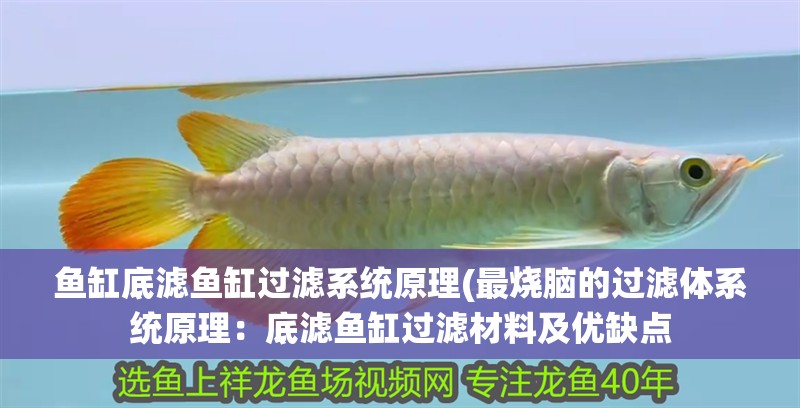 魚缸底濾魚缸過濾系統原理(最燒腦的過濾體系統原理：底濾魚缸過濾材料及優缺點