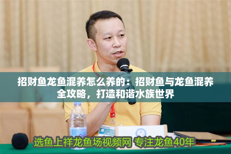 招財魚龍魚混養(yǎng)怎么養(yǎng)的：招財魚與龍魚混養(yǎng)全攻略，打造和諧水族世界