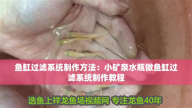 魚缸過濾系統制作方法：小礦泉水瓶做魚缸過濾系統制作教程