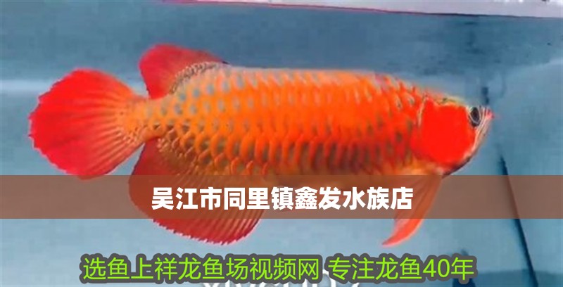 吳江市同里鎮鑫發水族店