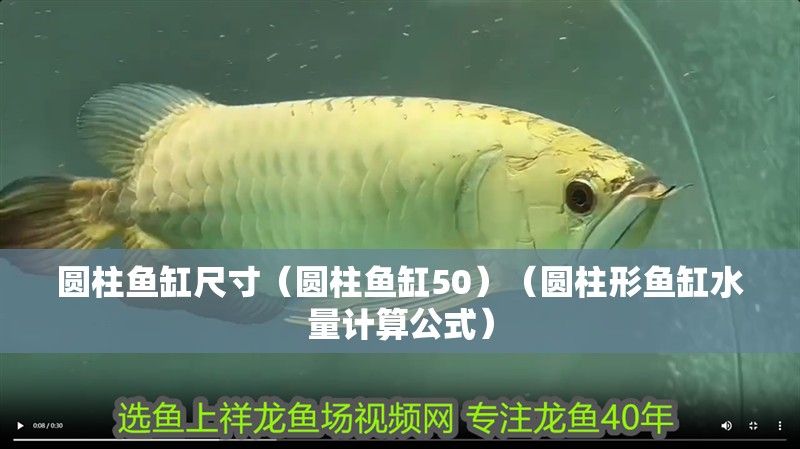 圓柱魚(yú)缸尺寸（圓柱魚(yú)缸50）（圓柱形魚(yú)缸水量計(jì)算公式）