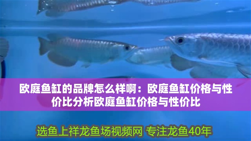 歐庭魚缸的品牌怎么樣啊：歐庭魚缸價格與性價比分析歐庭魚缸價格與性價比