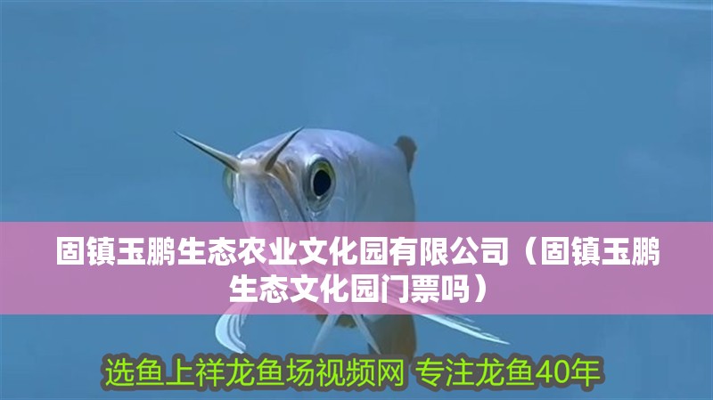固鎮(zhèn)玉鵬生態(tài)農(nóng)業(yè)文化園有限公司（固鎮(zhèn)玉鵬生態(tài)文化園門票嗎）