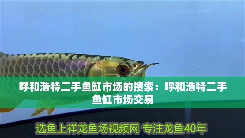 呼和浩特二手魚缸市場的搜索：呼和浩特二手魚缸市場交易