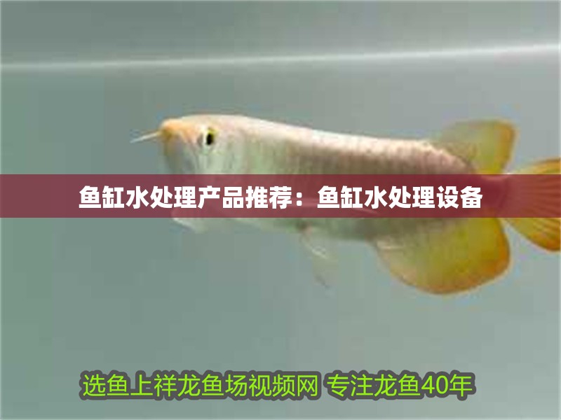 魚缸水處理產品推薦：魚缸水處理設備