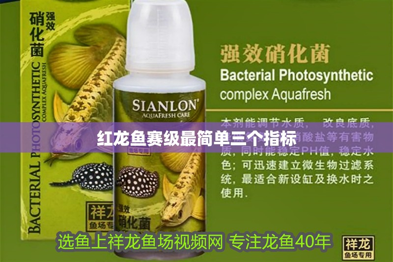 紅龍魚賽級最簡單三個指標