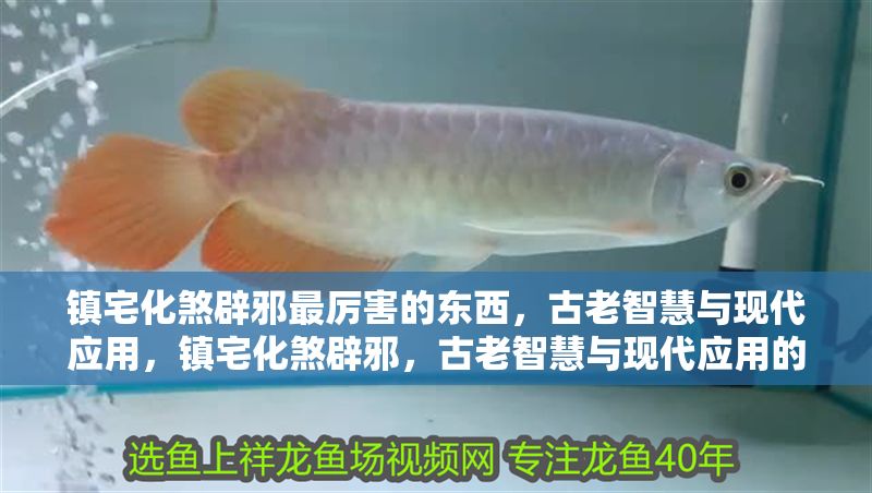 鎮宅化煞辟邪最厲害的東西，古老智慧與現代應用，鎮宅化煞辟邪，古老智慧與現代應用的終極指南