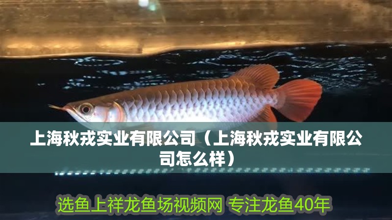 上海秋戎實業(yè)有限公司（上海秋戎實業(yè)有限公司怎么樣）