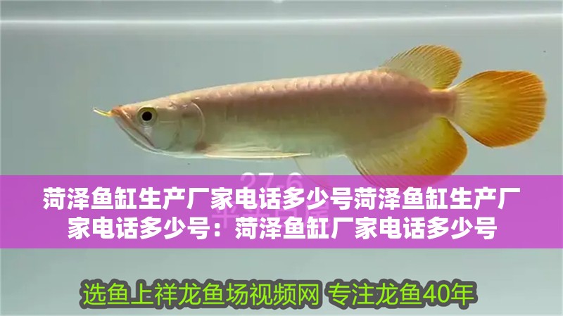 菏澤魚缸生產廠家電話多少號菏澤魚缸生產廠家電話多少號：菏澤魚缸廠家電話多少號
