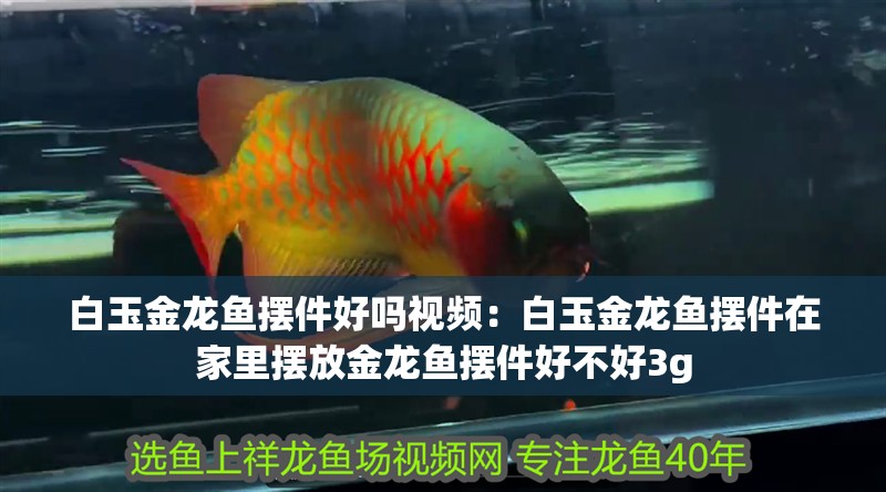 <strong><mark>白玉</mark></strong>金龍魚擺件好嗎視頻：<strong><mark>白玉</mark></strong>金龍魚擺件在家里擺放金龍魚擺件好不好3g