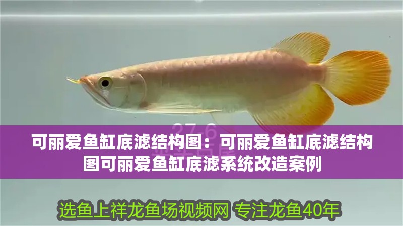 可麗愛魚缸底濾結構圖：可麗愛魚缸底濾結構圖可麗愛魚缸底濾系統改造案例