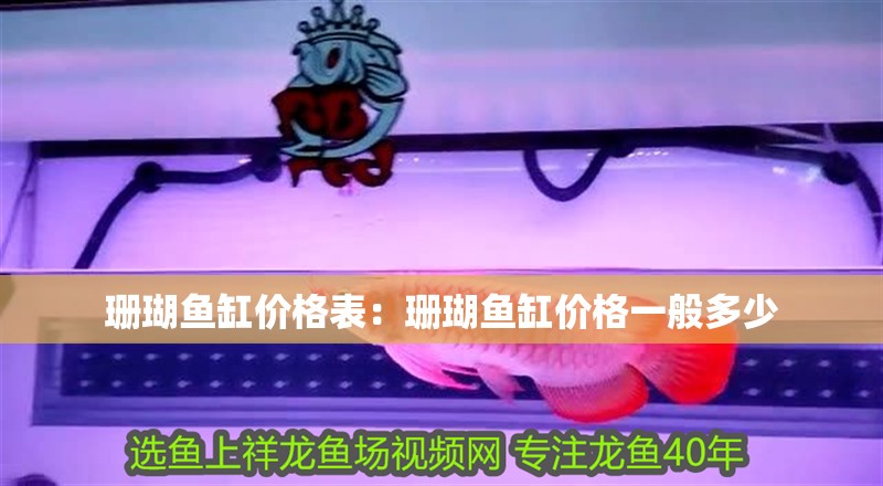 珊瑚魚缸價格表：珊瑚魚缸價格一般多少