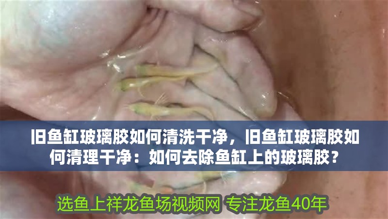 舊魚缸玻璃膠如何清洗干凈，舊魚缸玻璃膠如何清理干凈：如何去除魚缸上的玻璃膠？