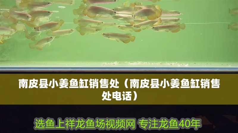 <strong><mark>南皮</mark></strong>縣小姜魚缸銷售處（<strong><mark>南皮</mark></strong>縣小姜魚缸銷售處電話）