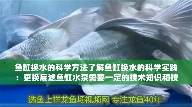 魚缸換水的科學方法了解魚缸換水的科學實踐：更換底濾魚缸水泵需要一定的技術知識和技術知識和細心操作