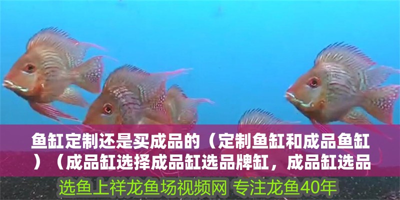 魚缸定制還是買成品的（定制魚缸和成品魚缸）（成品缸選擇成品缸選品牌缸，成品缸選品牌缸，成品缸好處）