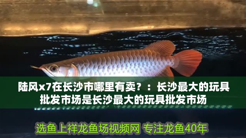 陸風x7在長沙市哪里有賣？：長沙最大的玩具批發市場是長沙最大的玩具批發市場