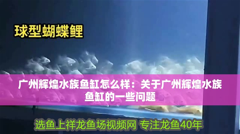 廣州輝煌水族魚缸怎么樣：關于廣州輝煌水族魚缸的一些問題