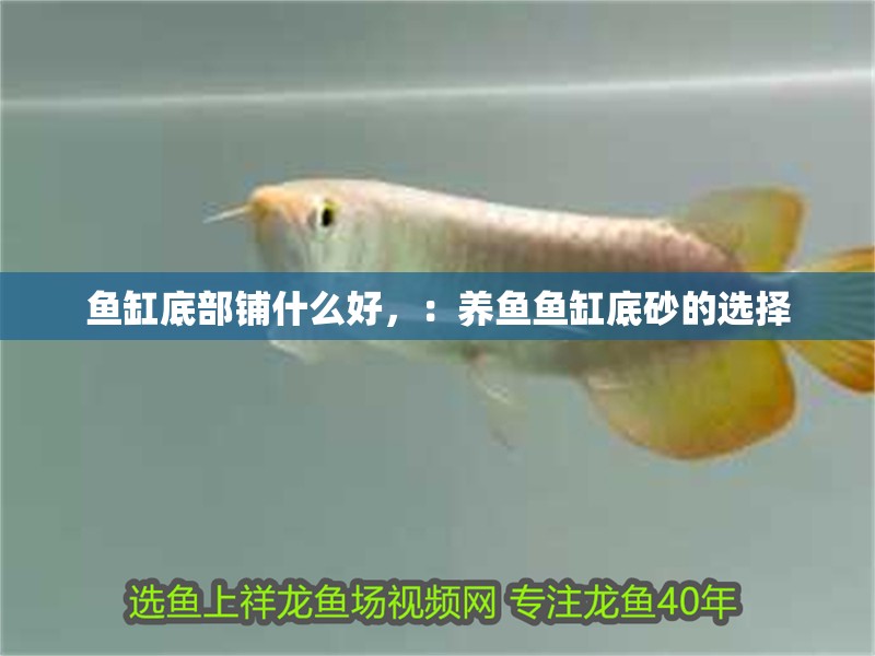 魚缸底部鋪什么好，：養魚魚缸底砂的選擇