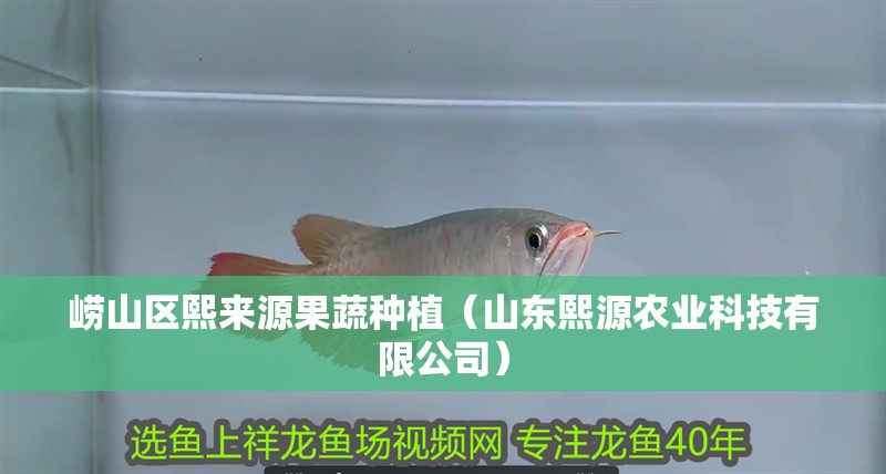 嶗山區熙來源果蔬種植（山東熙源農業科技有限公司）