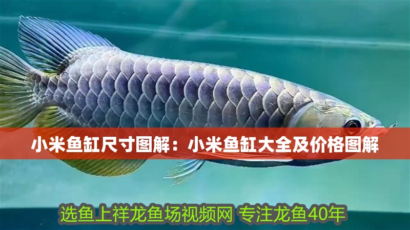 小米魚缸尺寸圖解：小米魚缸大全及價(jià)格圖解