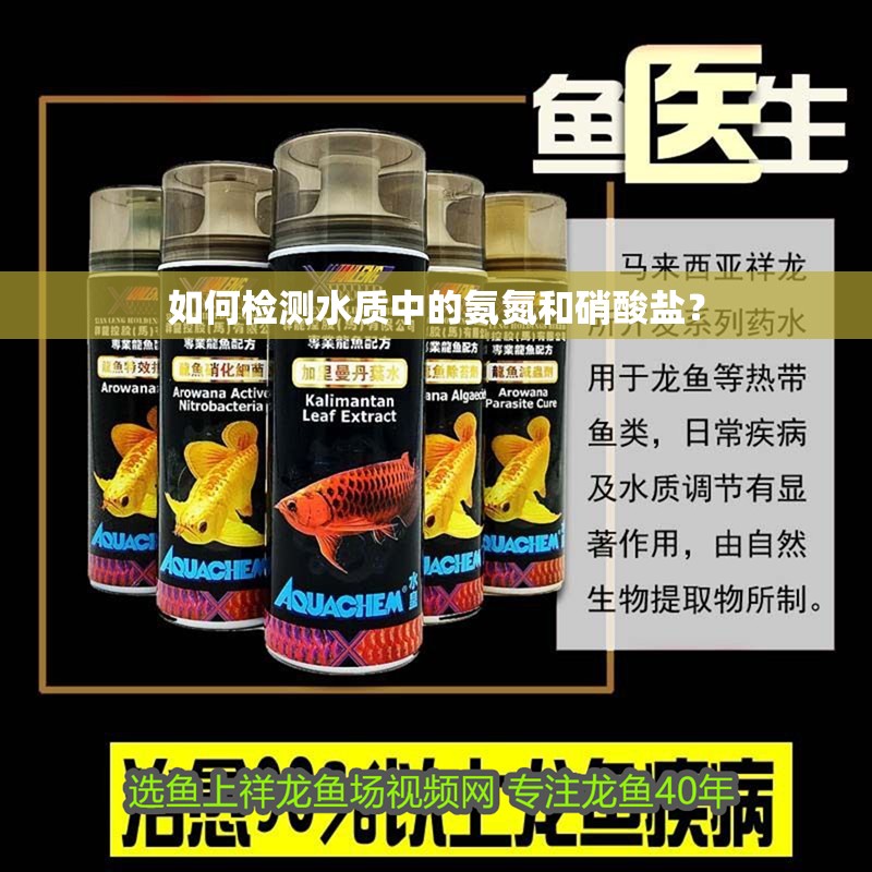 如何檢測水質中的氨氮和硝酸鹽？