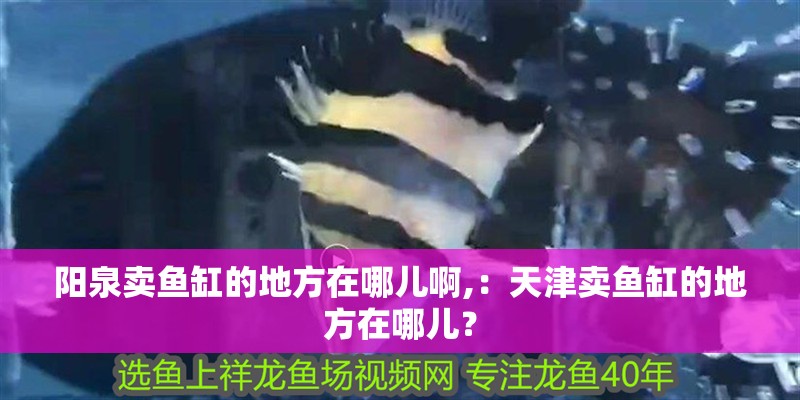 陽泉賣魚缸的地方在哪兒啊,：天津賣魚缸的地方在哪兒？
