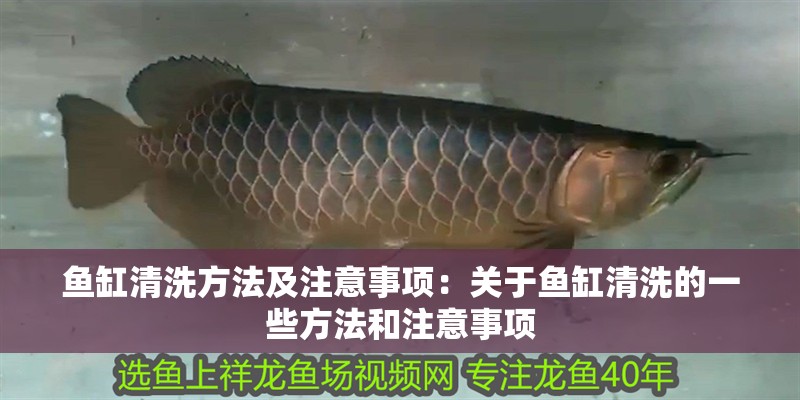 魚缸清洗方法及注意事項(xiàng)：關(guān)于魚缸清洗的一些方法和注意事項(xiàng)