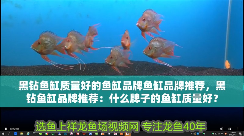黑鉆魚缸質(zhì)量好的魚缸品牌魚缸品牌推薦，黑鉆魚缸品牌推薦：什么牌子的魚缸質(zhì)量好？