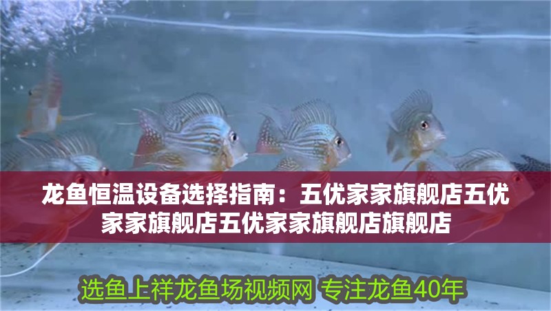 龍魚恒溫設(shè)備選擇指南：五優(yōu)家家旗艦店五優(yōu)家家旗艦店五優(yōu)家家旗艦店旗艦店