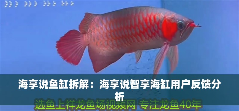 海享說(shuō)魚(yú)缸拆解：海享說(shuō)智享海缸用戶反饋分析