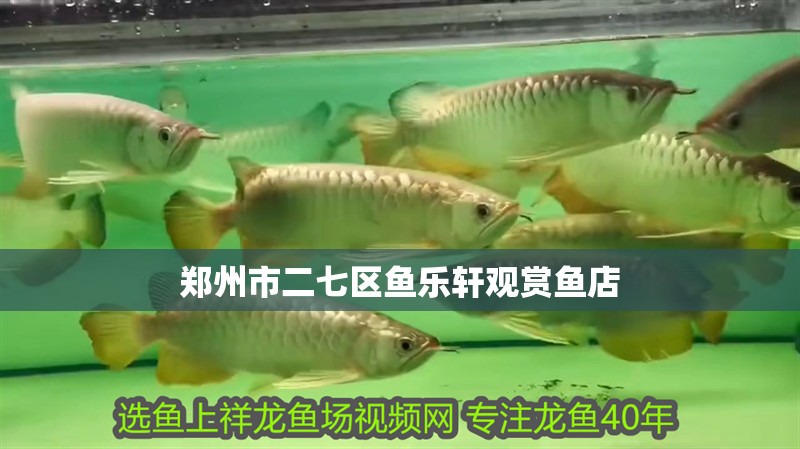 鄭州市二七區魚樂軒觀賞魚店